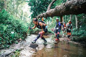 BIB: 
                            <button type="button" onclick="openModal(25369550)" class="btn btn-primary btn-sm float-right btn-popup" data-toggle="modal" data-target=".modal-high-quality">
                        <i class="fas fa-shopping-cart"></i> Add to Cart
                    </button>
                                            <button type="button" onclick="isThisMe(25369550, true)" class="btn btn-success btn-sm float-right btn-popup btn-isme hidden" data-toggle="tooltip" data-placement="bottom" title="นี่คือรูปของคุณใช่ไหม คลิกที่นี่เพื่อเอาเข้าอัลบั้ม">
                        <i class="fas fa-plus"></i> Add to album
                    </button>
                    <button type="button" onclick="isThisMe(25369550, false)" class="btn btn-warning btn-sm float-right btn-popup btn-isnotme hidden">
                        <i class="fas fa-ban"></i> Remove from album
                    </button>